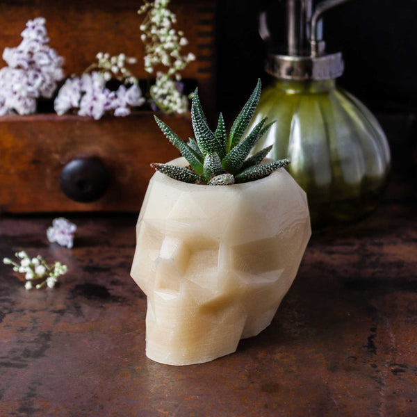 Geometric Skull Beeswax Planter - Succulent - Airplant -Candle Holder