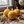 World Globe Beeswax candle