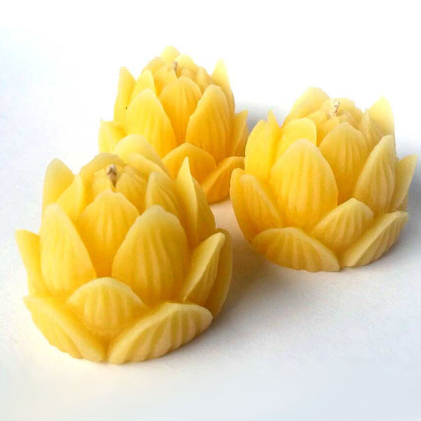 LOTUS FLOWER - 100% Beeswax Candle - 3 pack