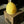 SKEP BEEHIVE - 100% Beeswax Candle - 3 pack